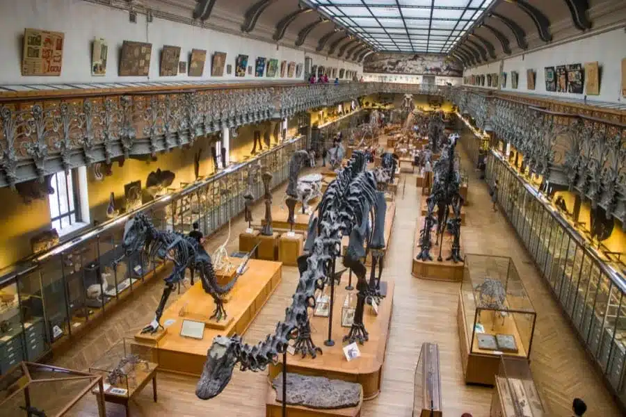Museo de historia Natural de París