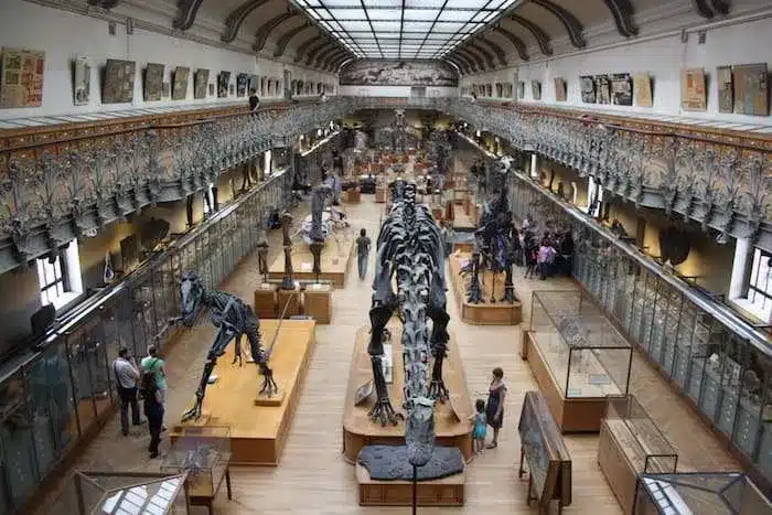 Museo de Historia Natural (MNHN) de París