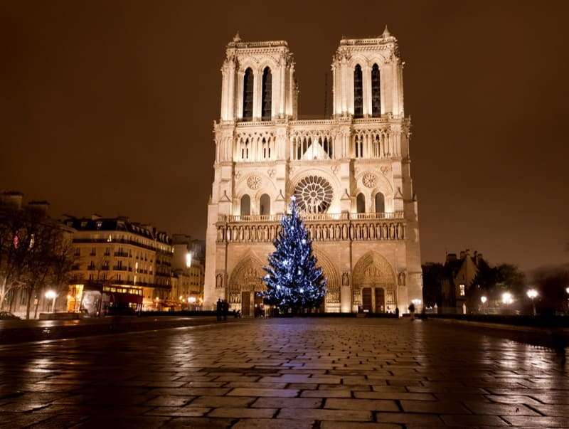 L'albero di Natale a Notre Dame, Parigi